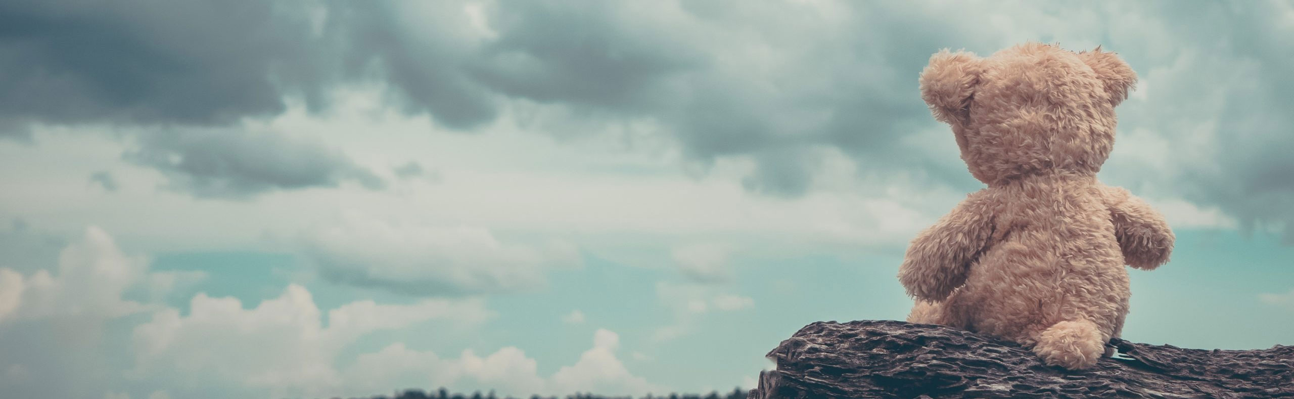 Nallebjorn sitter pa en stock