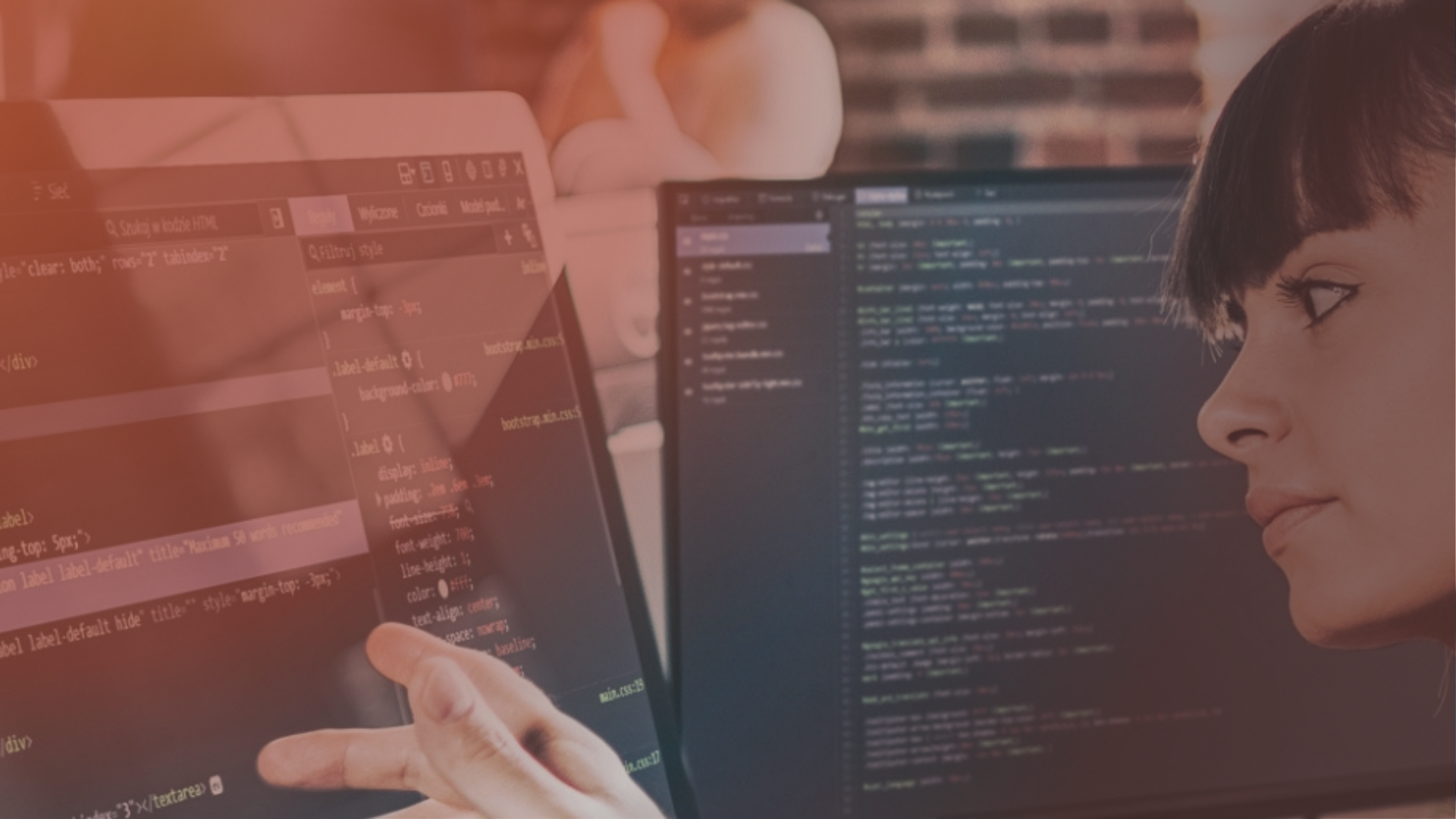 hemsidor i wordpress